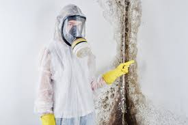 Why You Should Choose Our Mold Remediation Services in Niagara Falls, NY